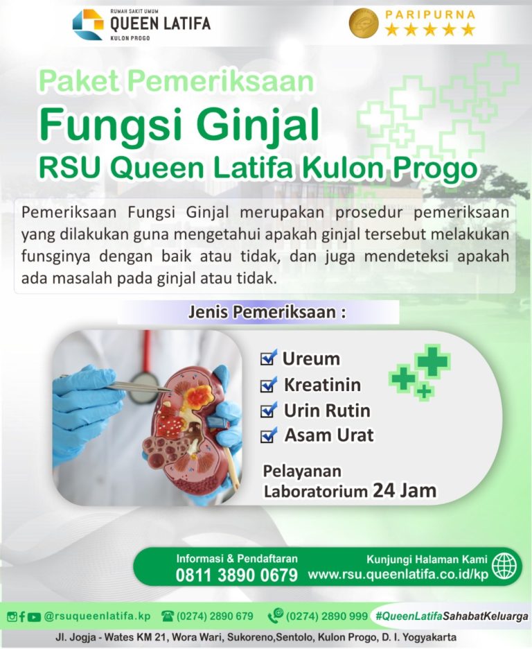 Layanan Pemeriksaan Fungsi ginjal